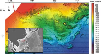 In-situ long-period monitoring of suspended particulate matter dynamics in deep sea with digital video images